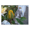 Pretty-On-A-Fence Card