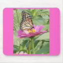 Pretty on pink Butterfly mousepads