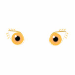 Pretty Orange Eyes Photo Sculpture