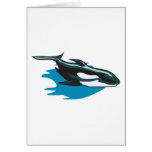 pretty orca killer whale greeting cards
