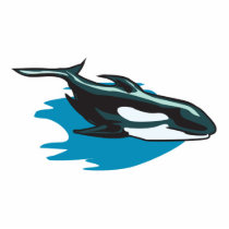 pretty orca killer whale photo cutouts