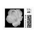 Pretty pale gray rose on black stamp
