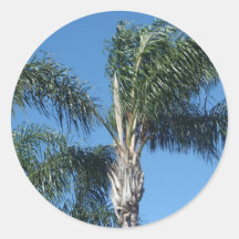 Pretty Palm Round Stickers