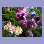 Pretty Pansy print