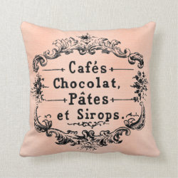 Pretty Paris French Antique Art Pillow