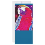 *Pretty Parrot* Wild Spirit Design Rack Card Template