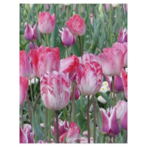 Pretty Pastel Tulips flyers
