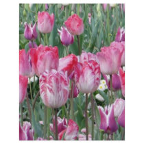 Pretty Pastel Tulips letterhead