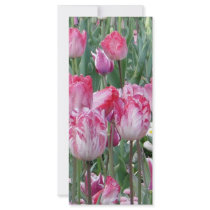 Pretty Pastel Tulips rack cards