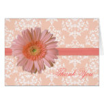 Pretty Peach Gerber Daisy Thank You Card