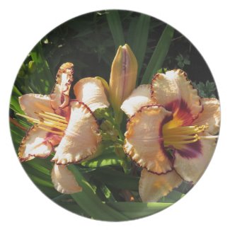 Pretty Peach Lilies Plates