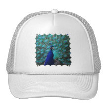 Pretty Peacock Baseball Hat