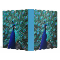 Pretty Peacock Binder