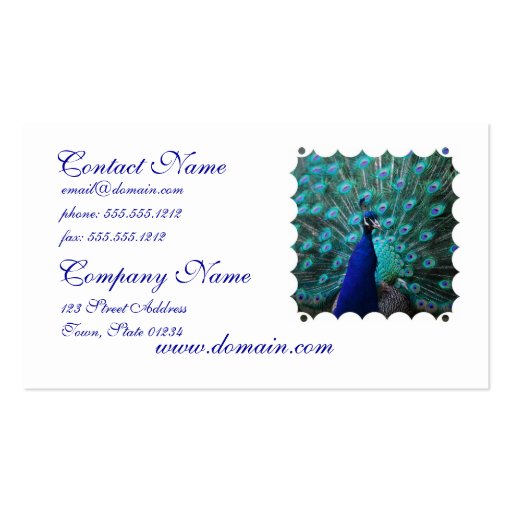 Pretty Peacock Business Card