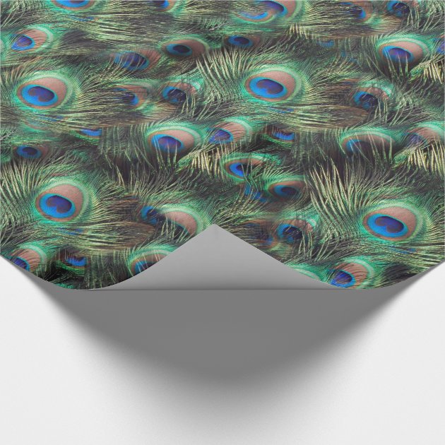 Pretty Peacock Feather Animal Print Wrapping Paper 4/4