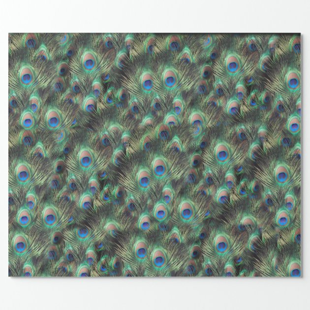 Pretty Peacock Feather Animal Print Wrapping Paper 3/4