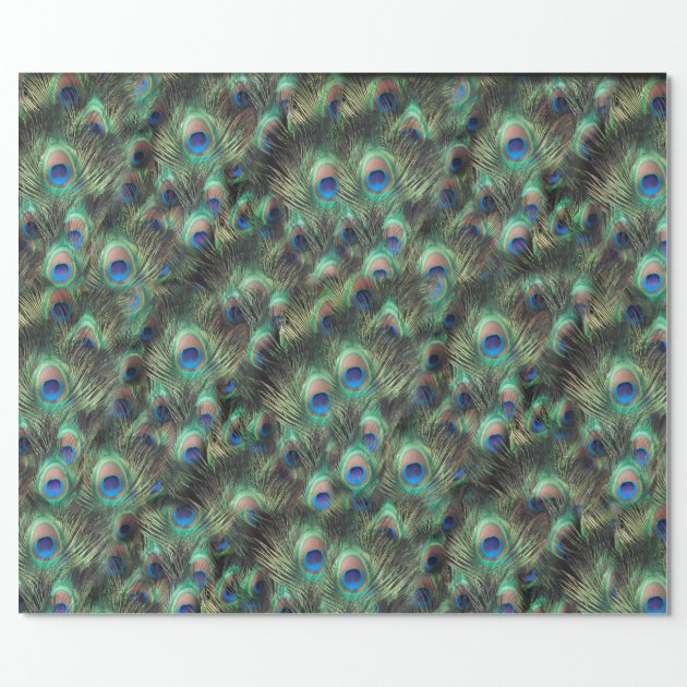 Pretty Peacock Feather Animal Print Wrapping Paper-2