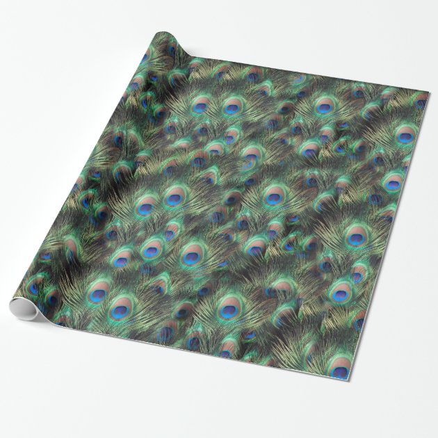 Pretty Peacock Feather Animal Print Wrapping Paper 2/4