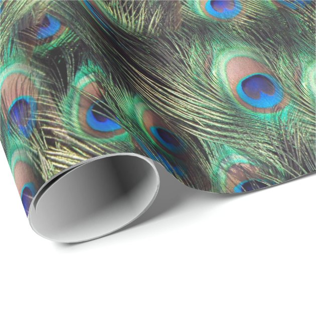 Pretty Peacock Feather Animal Print Wrapping Paper 1/4