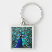 Pretty Peacock Keychain