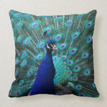 Pretty Peacock Pillow