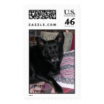 Pretty Penny Postage Stamps