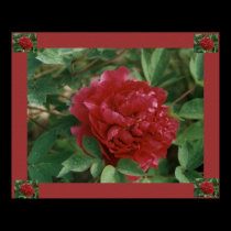 Pretty Peony! Print