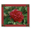 Pretty Peony! Print