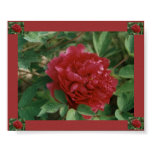 red peony print, burgundy and green peony print,