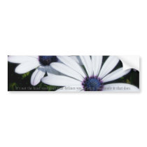 Pretty Petals 5 Bumper Sticker bumper stickers by BrandyMRogers Pretty Petals 5 Bumper Sticker bumper stickers
