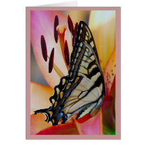Pretty Petals cards
