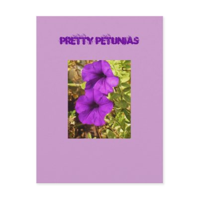 Pretty Petunias Post Cards by Priscilla48