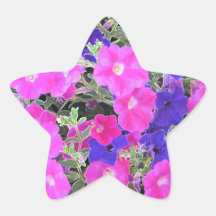 PRETTY PETUNIAS STAR STICKERS