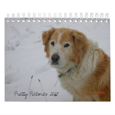 Pretty Pictures 2008 Calendar by Heidianne13