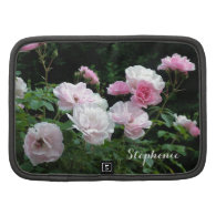 pretty pink and white rose flower bushes. Botanica Organizers