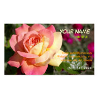Pretty  pink and yellow rose flower business card