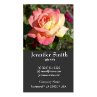 Pretty  pink and yellow rose flower business card