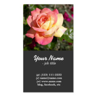 Pretty pink and yellow rose flower business cards