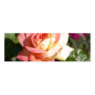 Pretty  pink and yellow rose flower.  Floral Business Card Templates