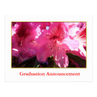 Pretty pink azalea flower graduation announcement post cards