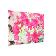 pretty pink azalea flowers stretched canvas print