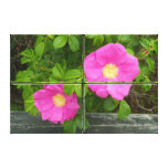 Pretty Pink Beach Plum Roses Canvas Prints