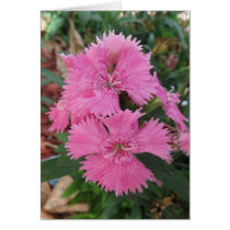 Pretty Pink Blooms Note Card by mulberry1 Pretty Pink Blooms Note Card