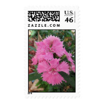 Pretty Pink Blooms Postage Stamp by mulberry1 Pretty Pink Blooms Postage Stamp