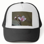 Pretty Pink Blossoms Trucker Hats