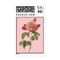 *Pretty Pink Botanicals* Vintage Flower Stamps