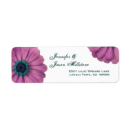Pretty Pink Daisies label