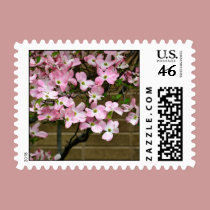 Pretty Pink Dogwood Flowers stamps