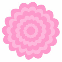 Pretty pink flower. White Background. Cut Outs