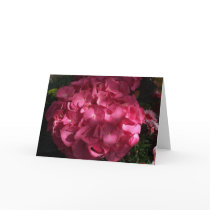Pretty Pink Flowers cards